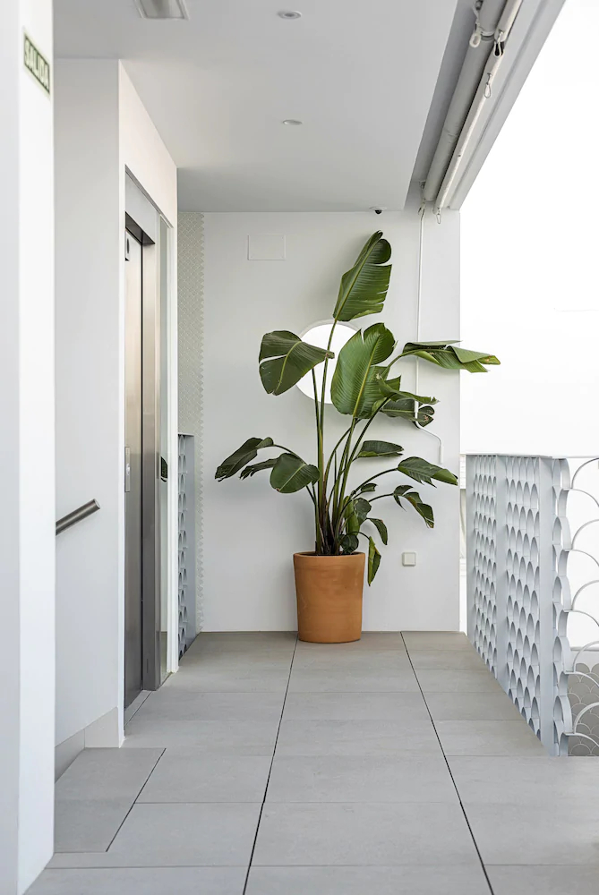 Conil Home Suite