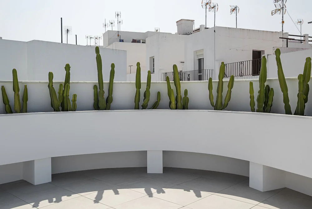 Conil Home Suite