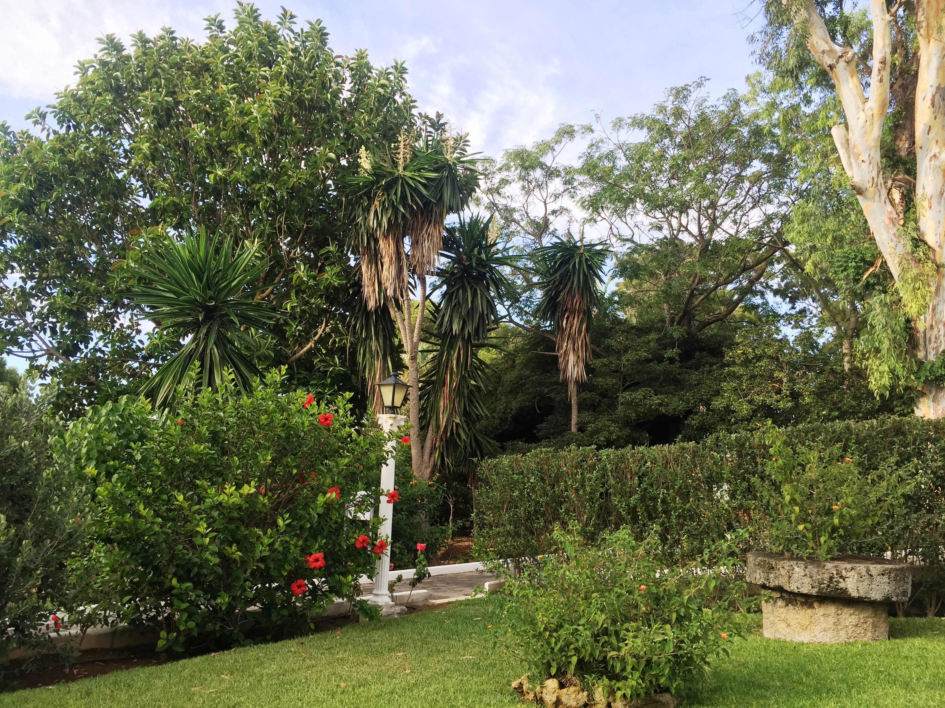 Cortijo Fontanilla