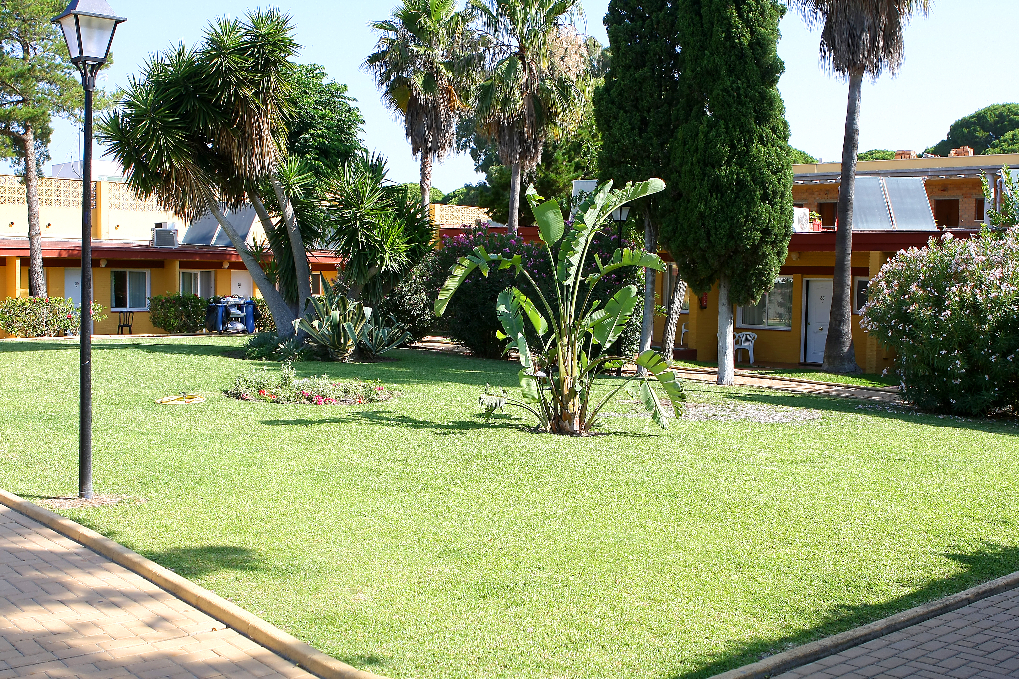 Dunas Puerto