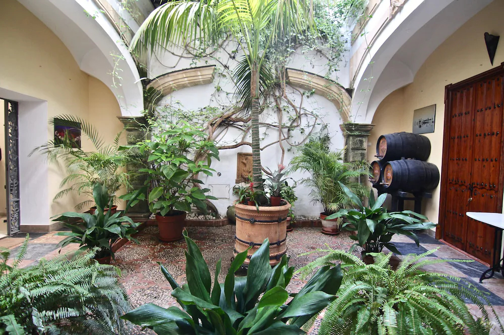 El Palace Del Puerto