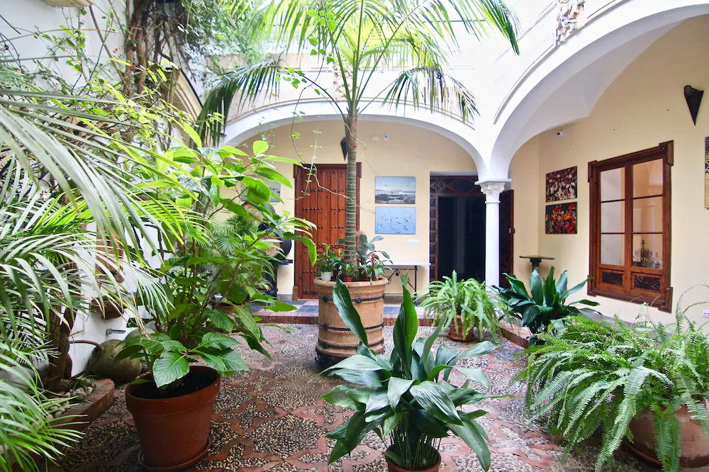 El Palace Del Puerto