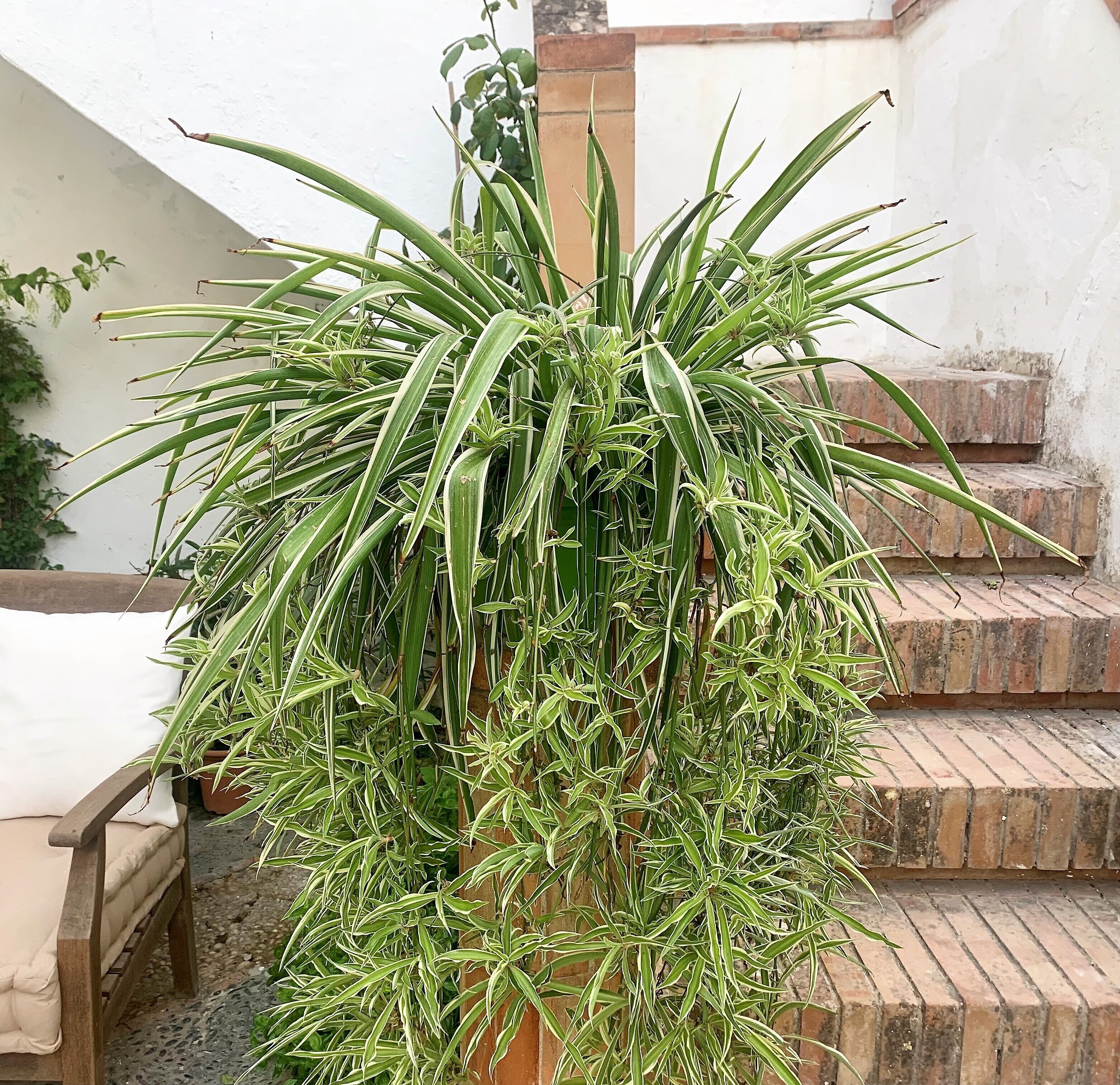 Los Patios Del Agua