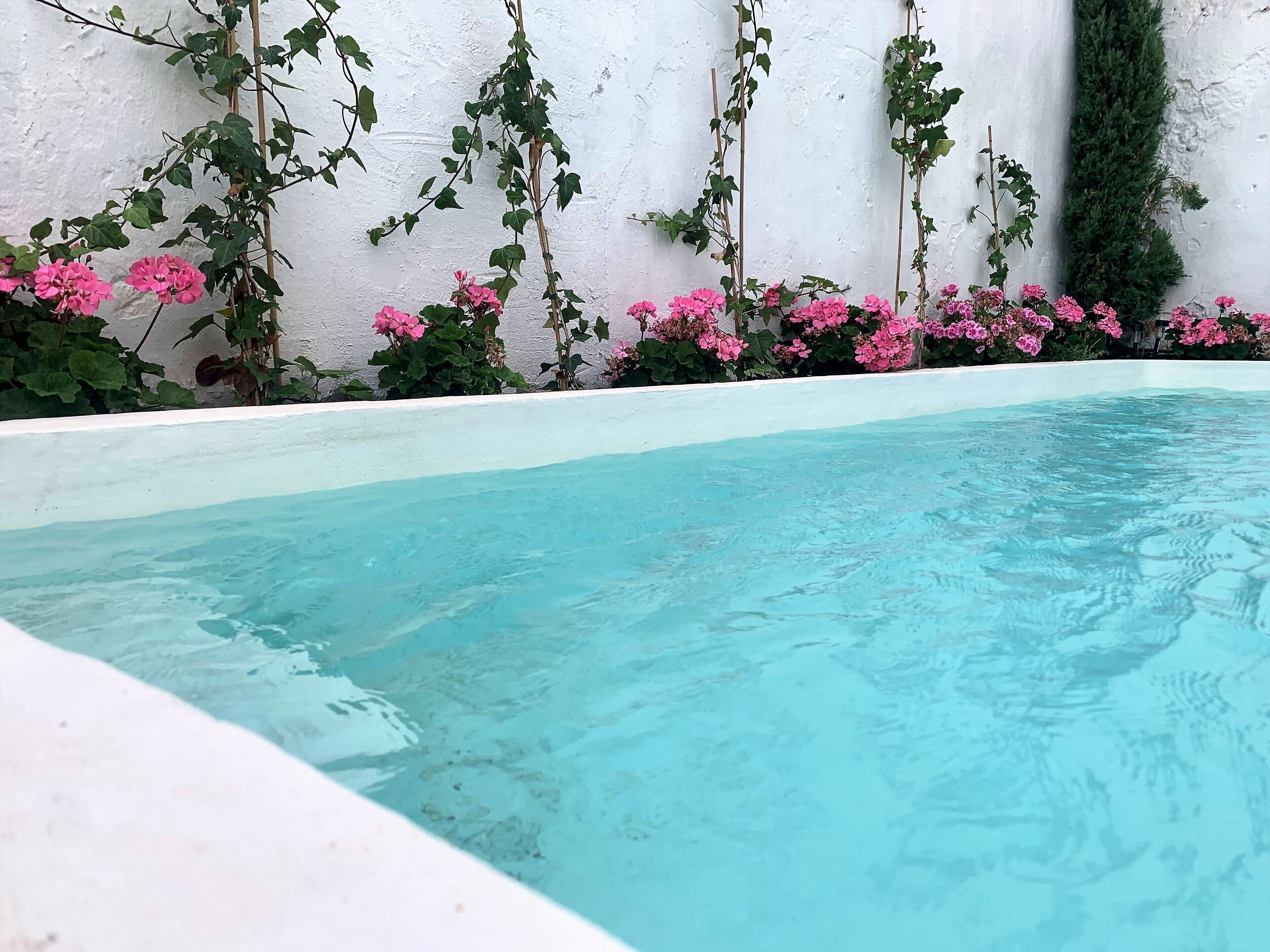 Los Patios Del Agua