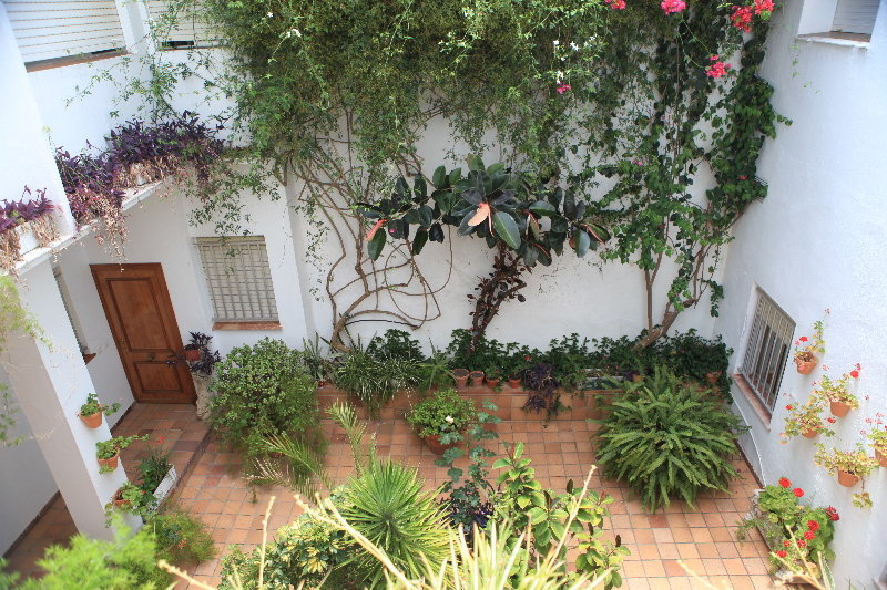 El Coloso