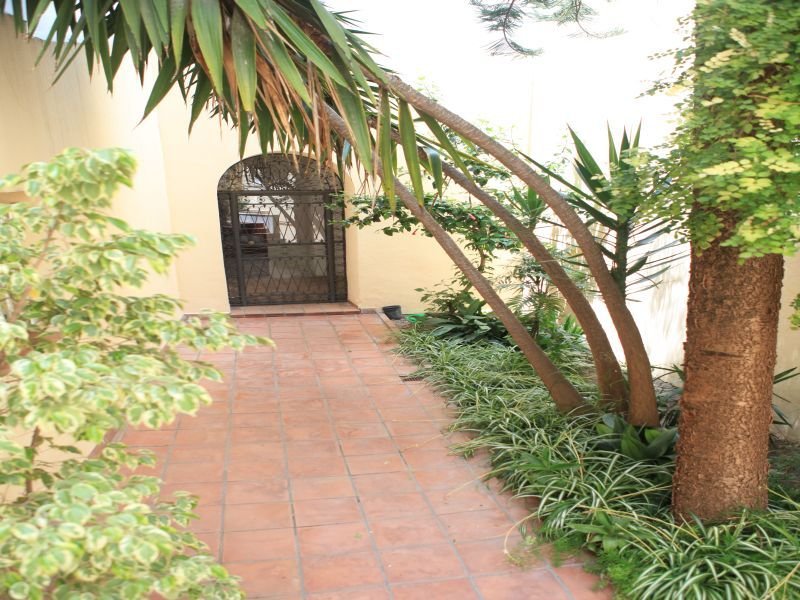 El Coloso