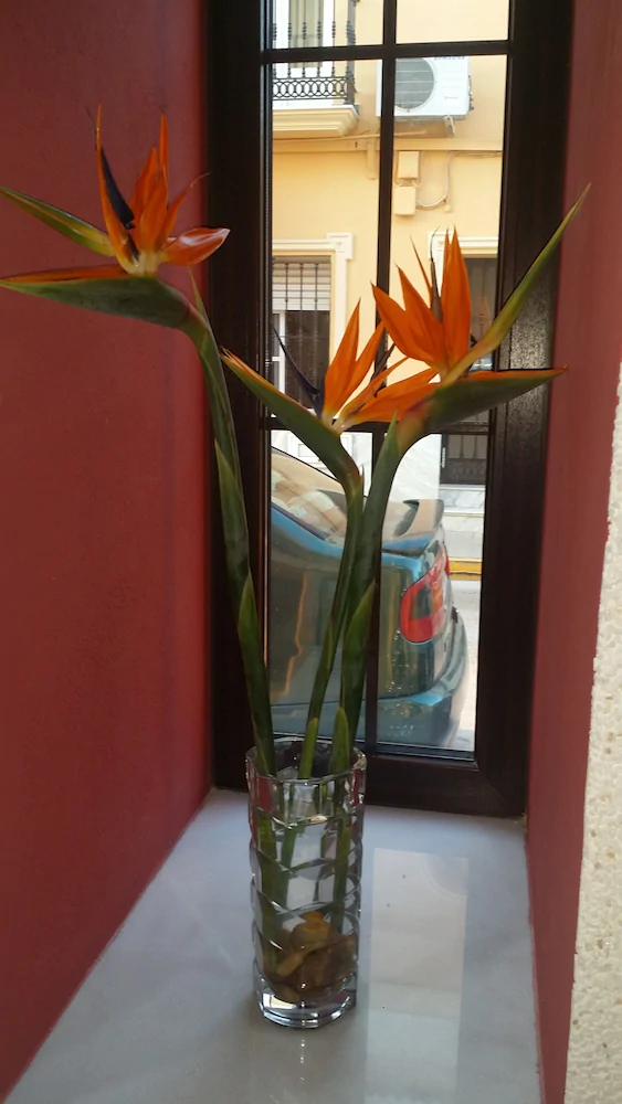 Hostal El Patio Boutique