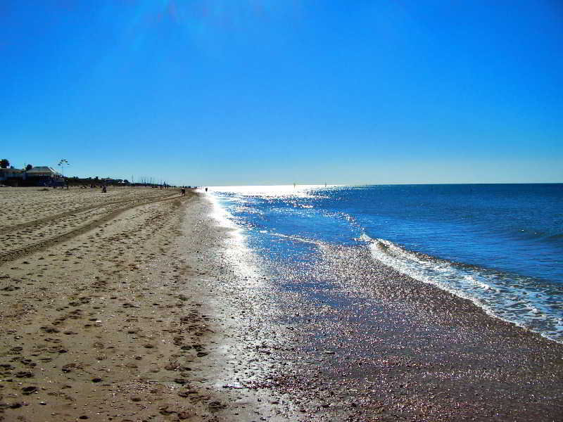 Leo Ipanema