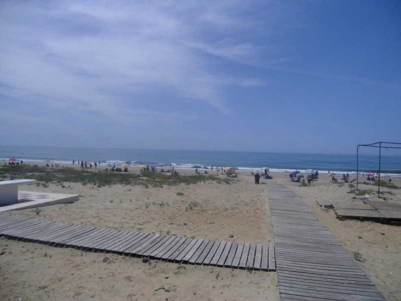 Leo Ipanema