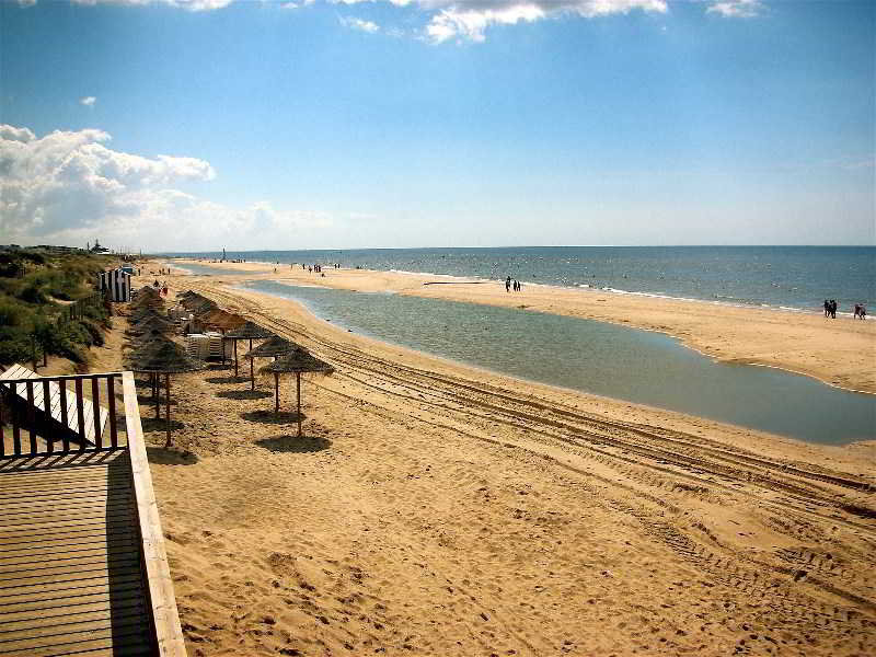 Leo Ipanema