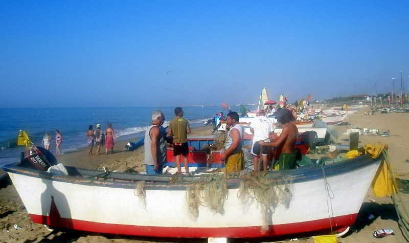 Leo Ipanema