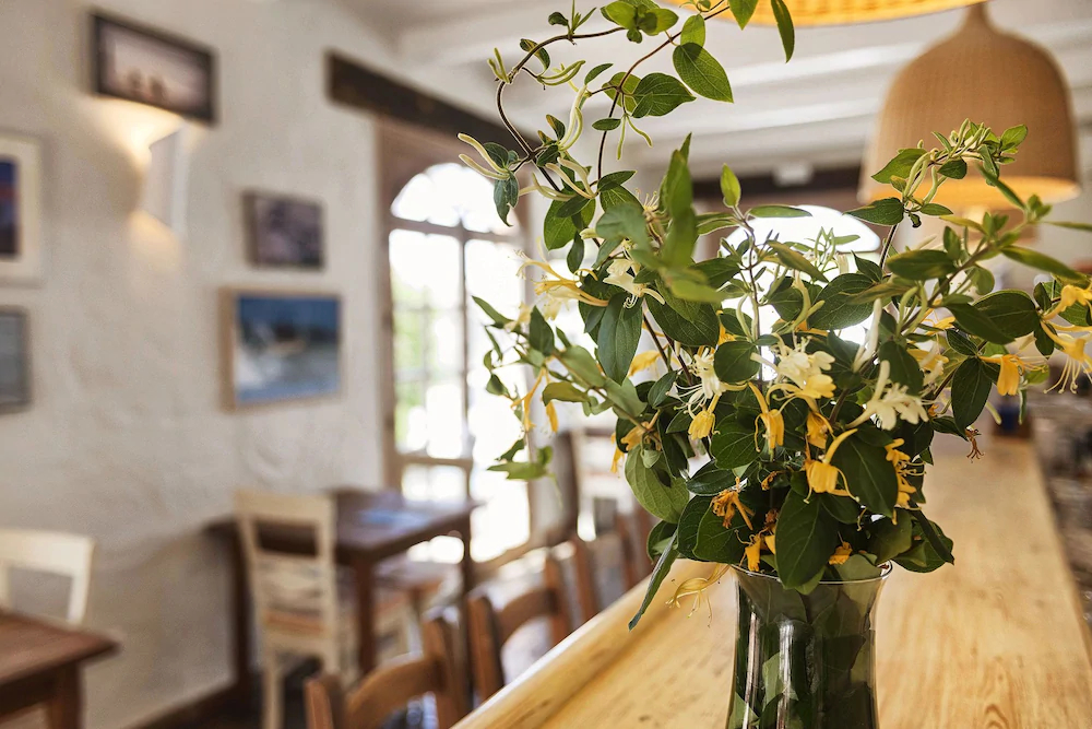 Hotel Madreselva
