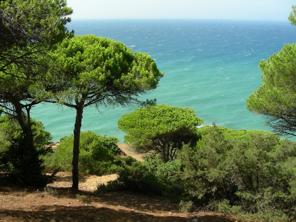 La Aceitera de Trafalgar
