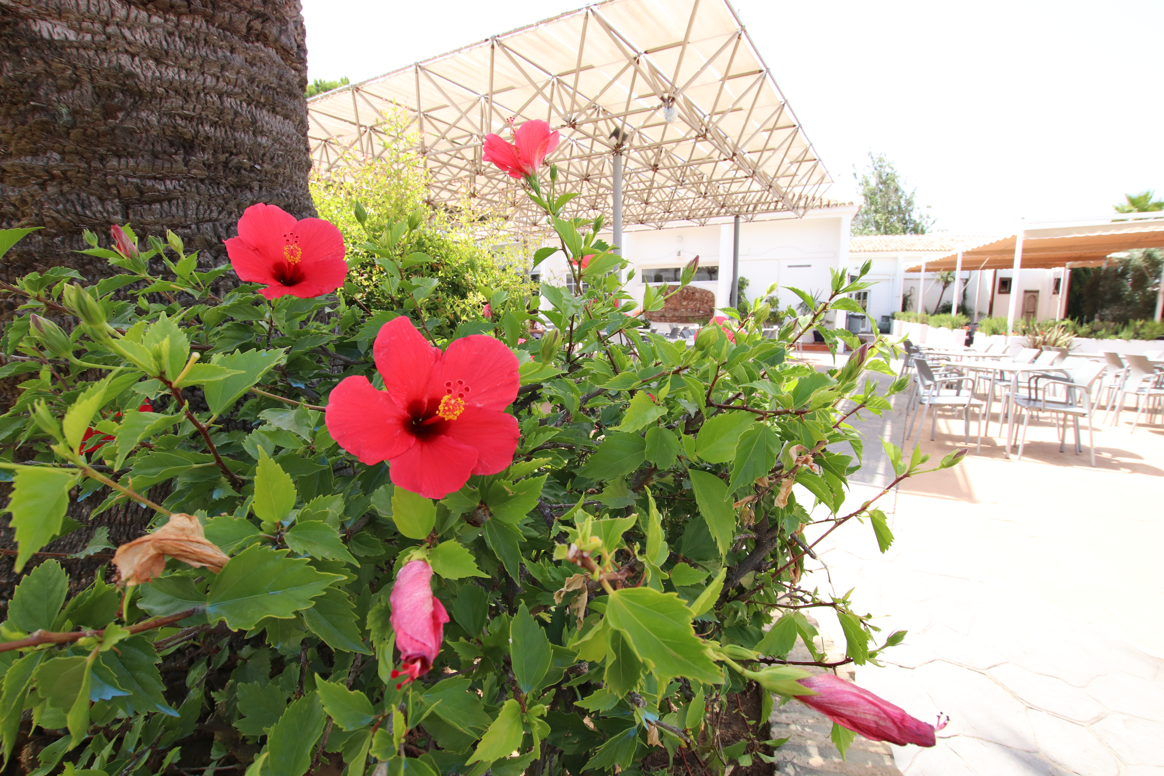 Ohtels Carabela Beach & Golf