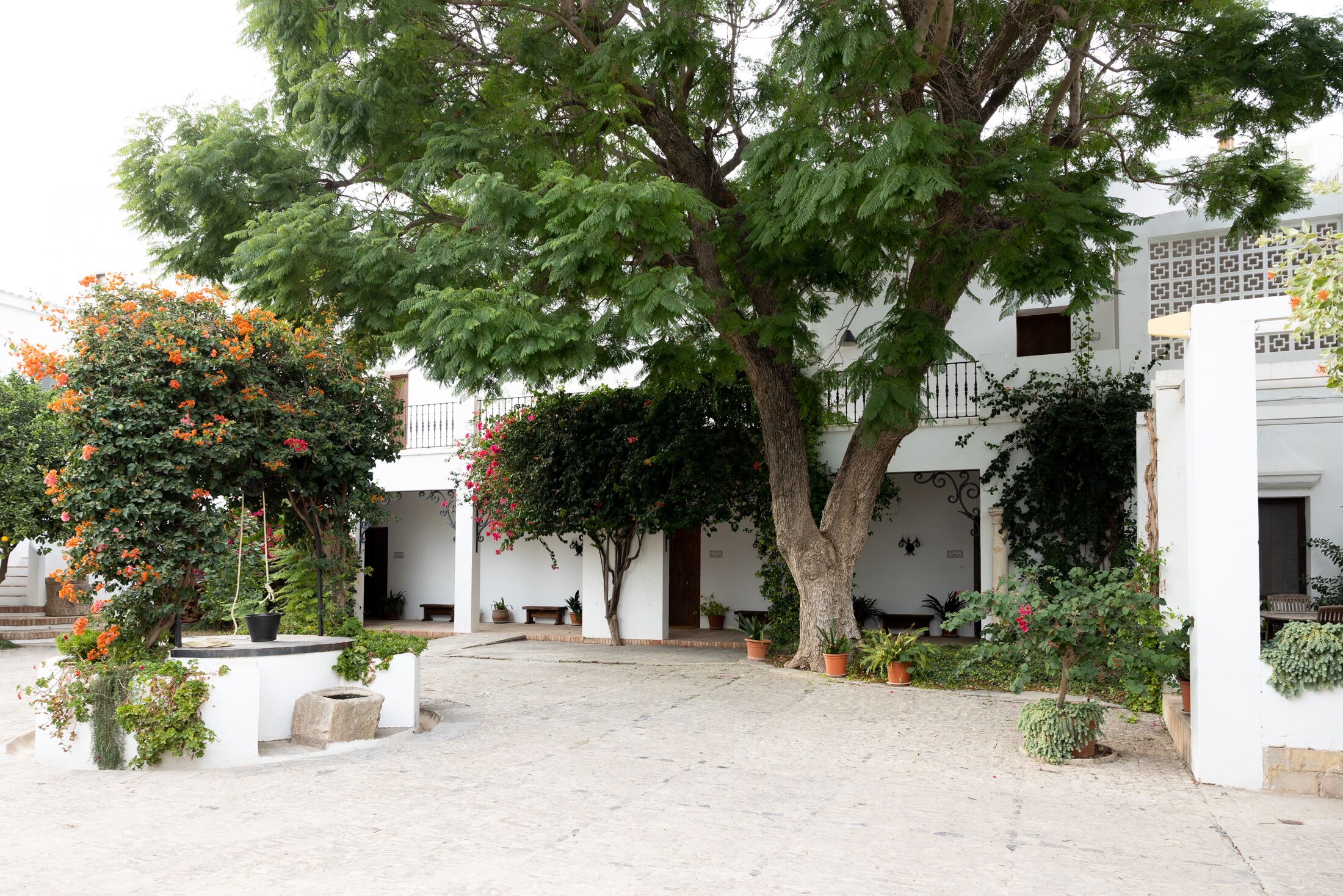 Cortijo de Guerra