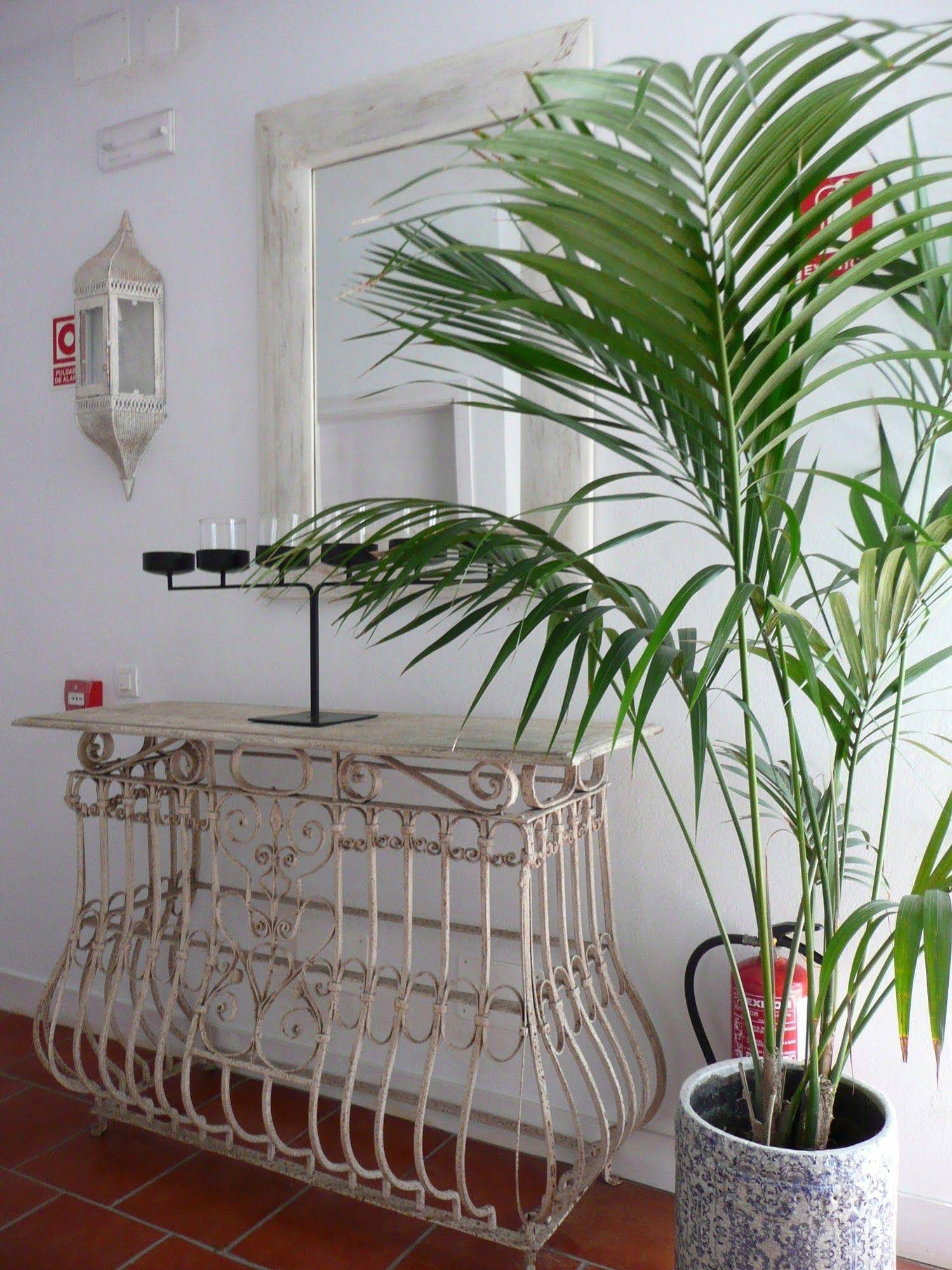 Benali Guesthouse