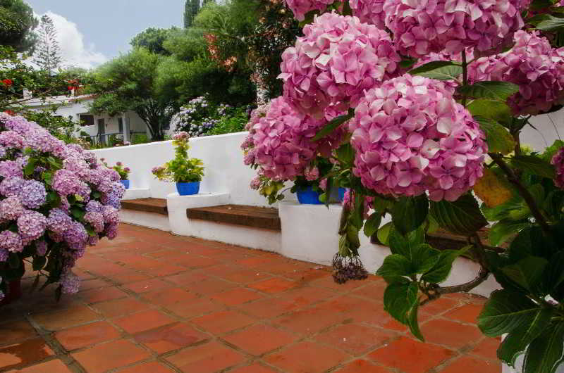 Meson de Sancho