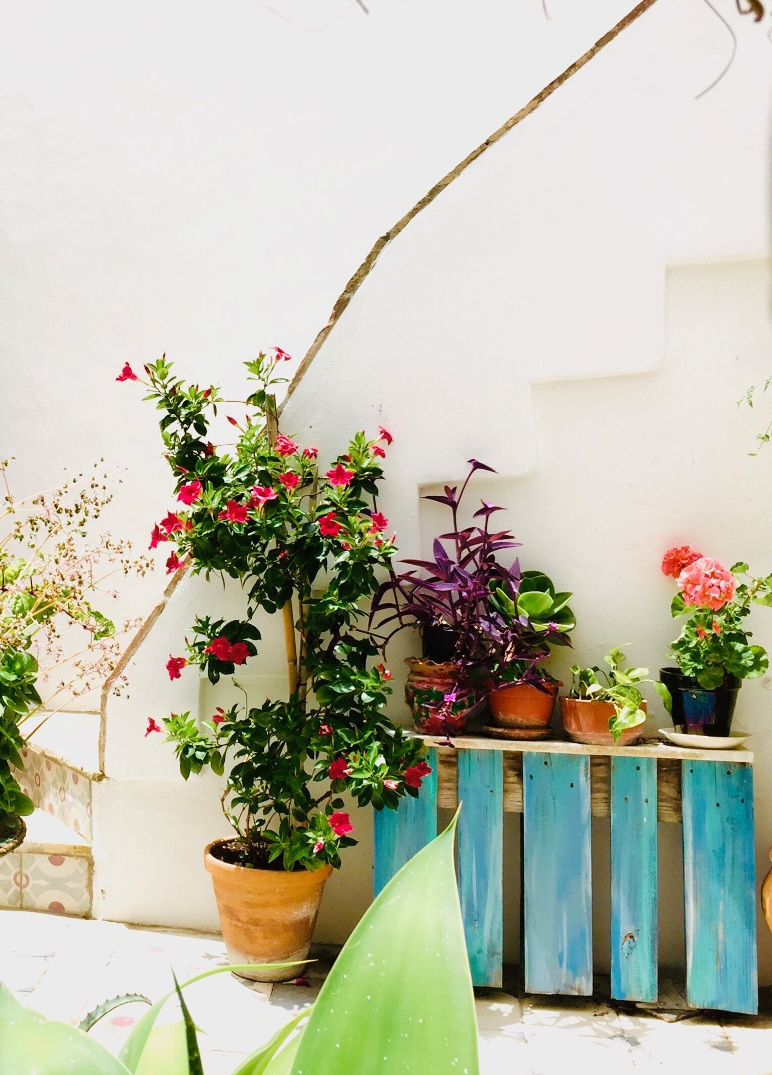 Casa la Fuente by Casas Vejer Debra