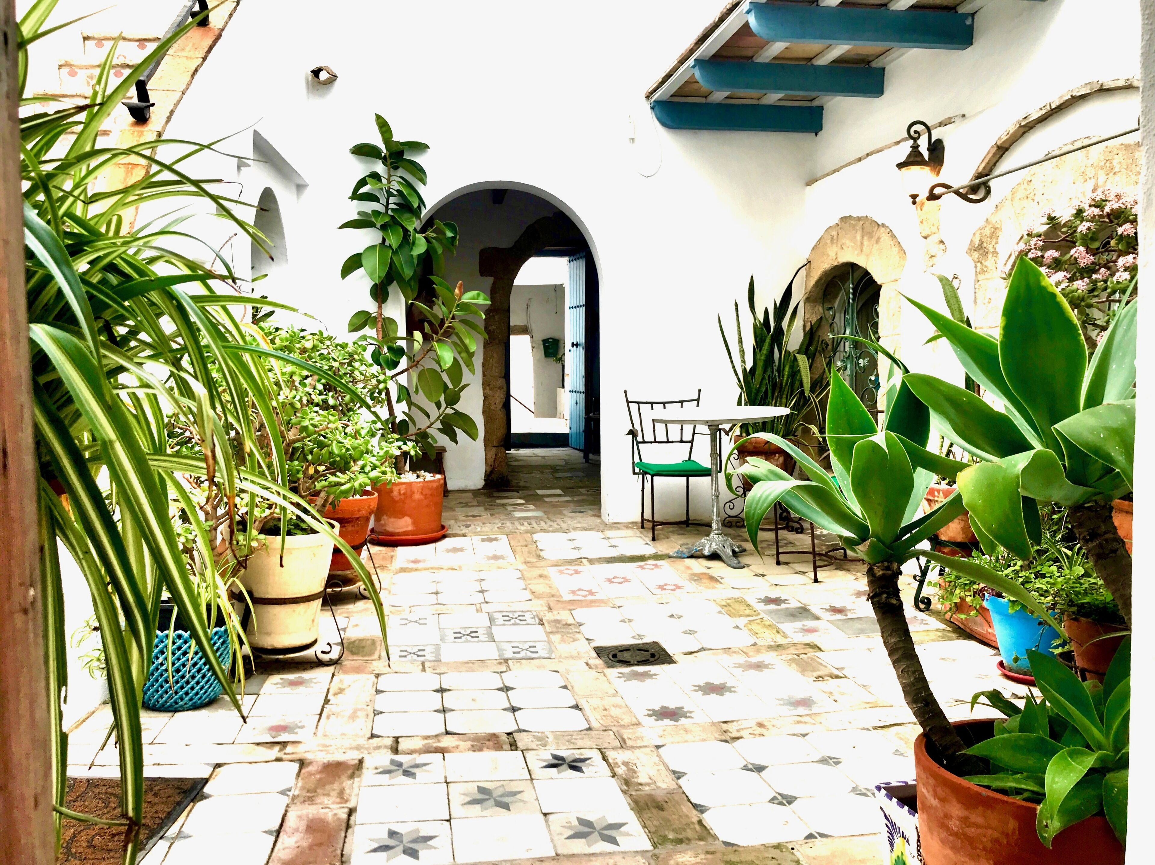 Casa la Fuente by Casas Vejer Debra