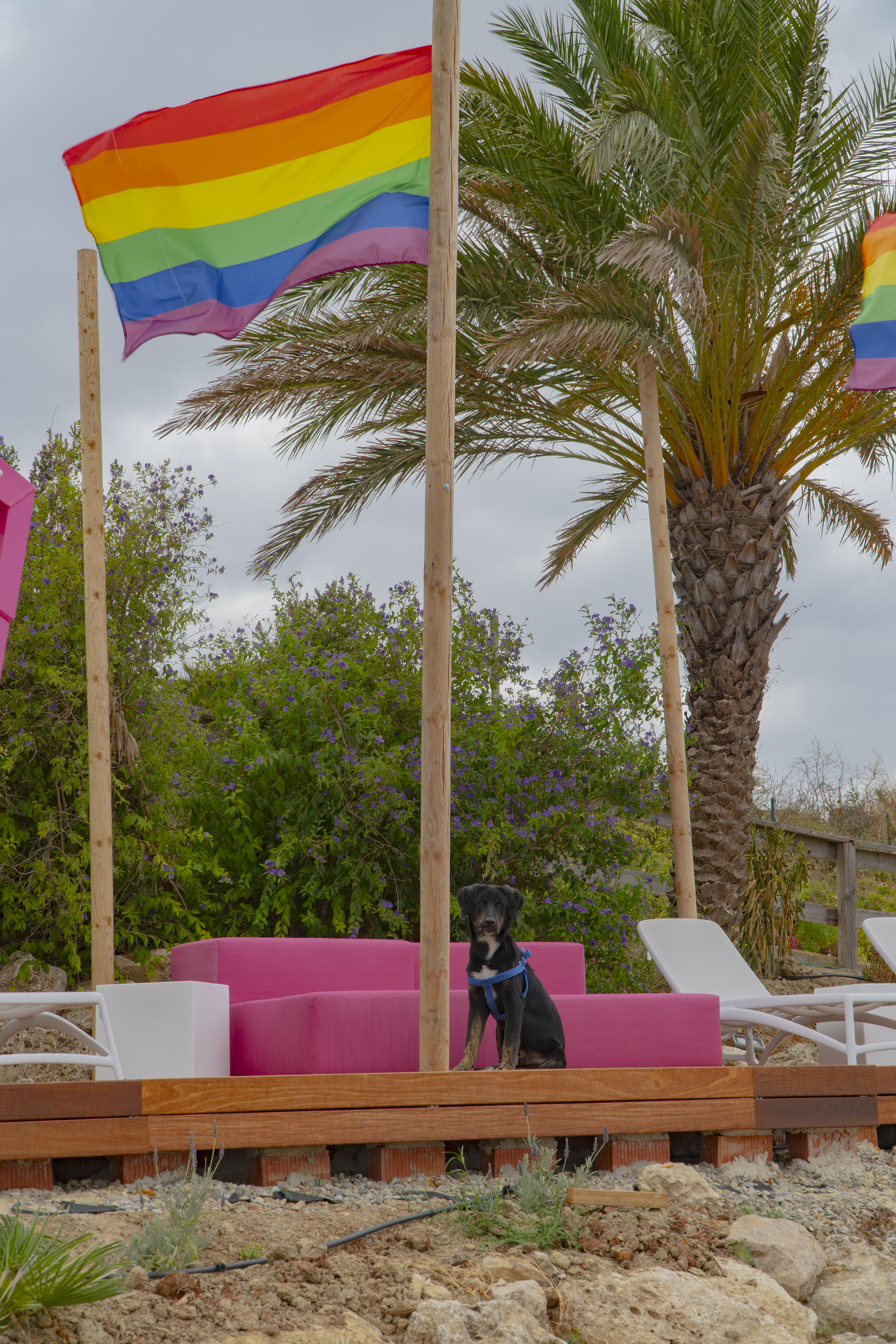 Hotel Ritual El Palmar