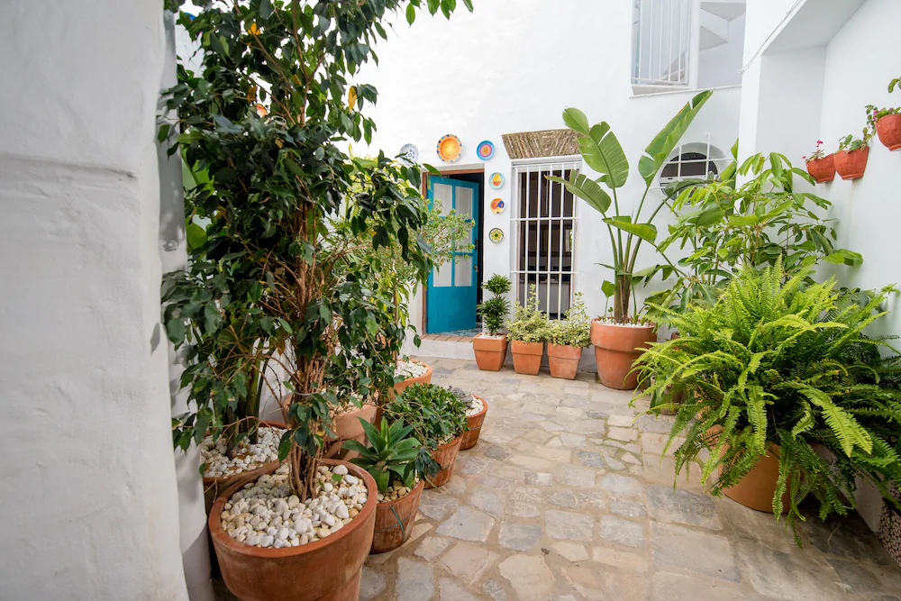 La Sultana De Vejer