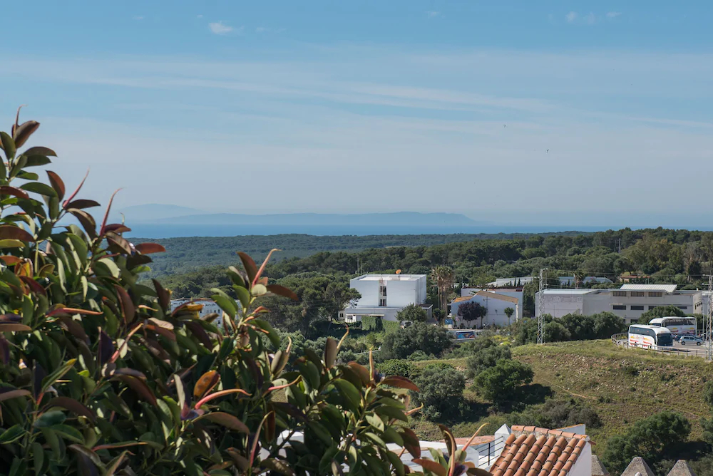La Sultana De Vejer