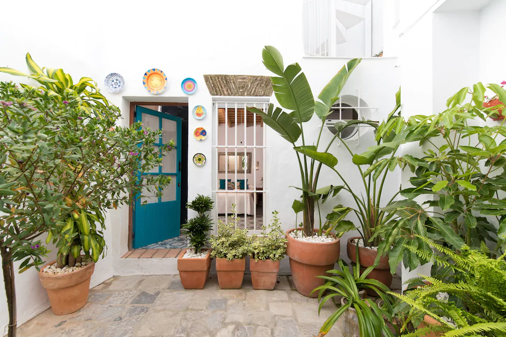 La Sultana De Vejer