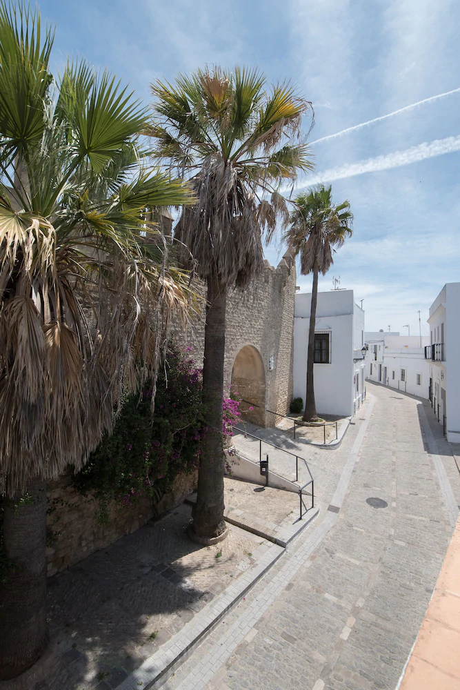 La Sultana De Vejer