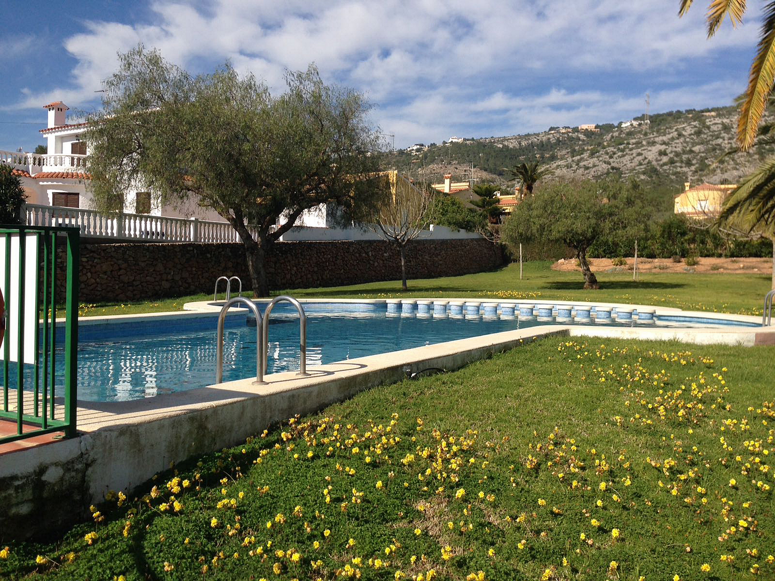 Apartamentos Palma Blanca 3000