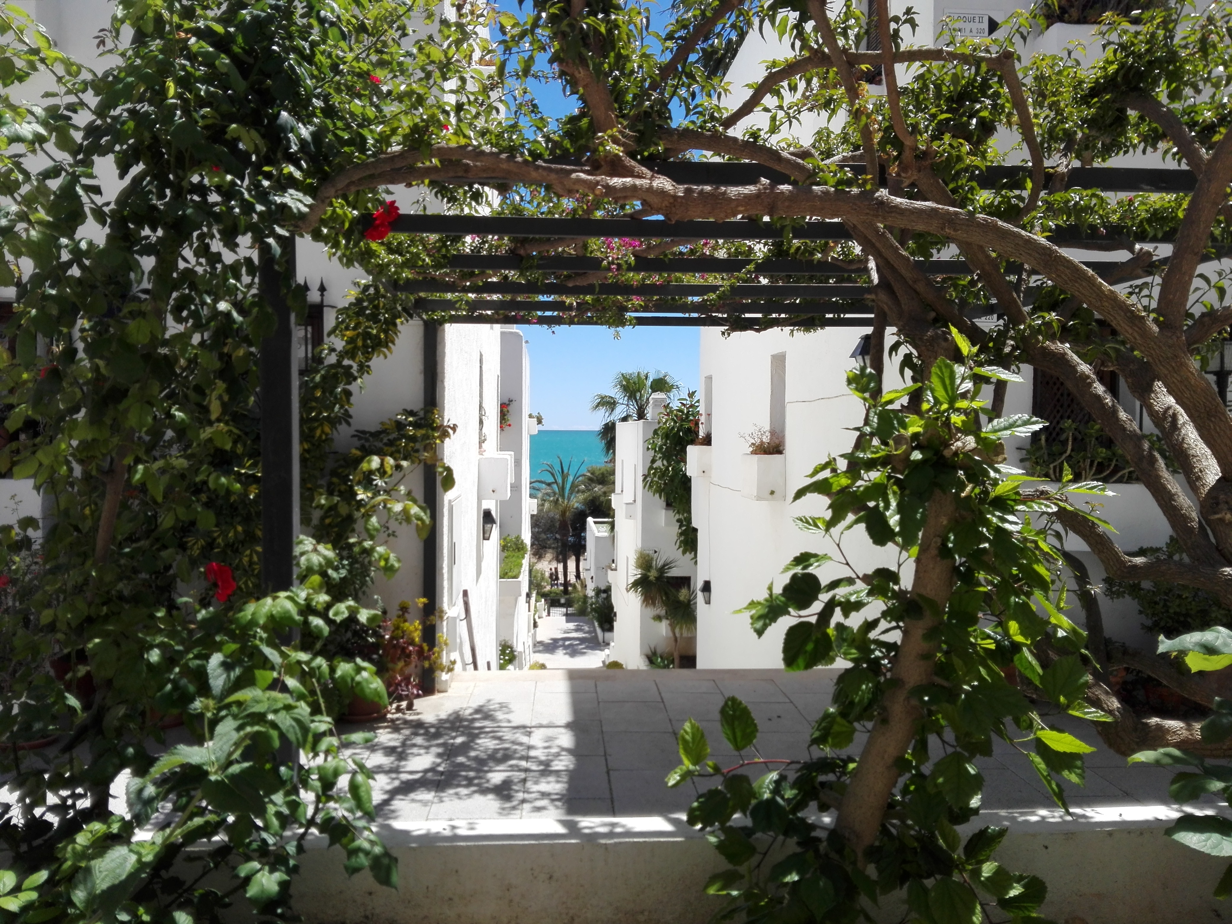 Apartamentos Marino