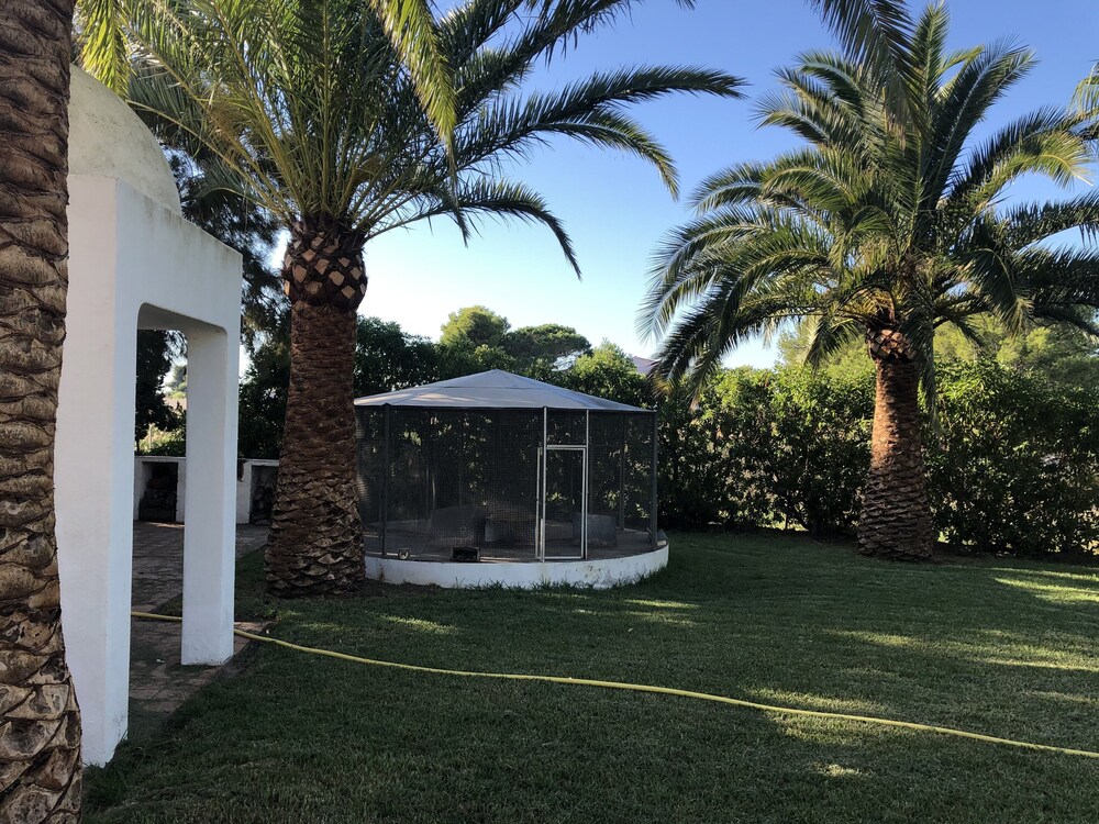 Benicassim-Villa Ca Sofia