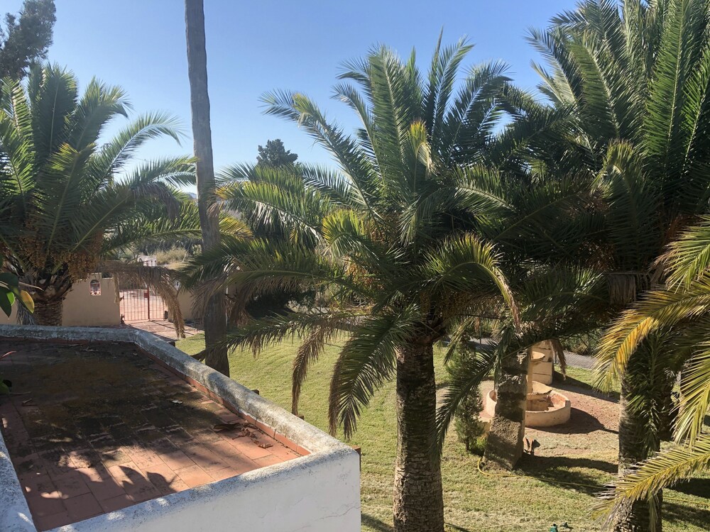 Benicassim-Villa Ca Sofia