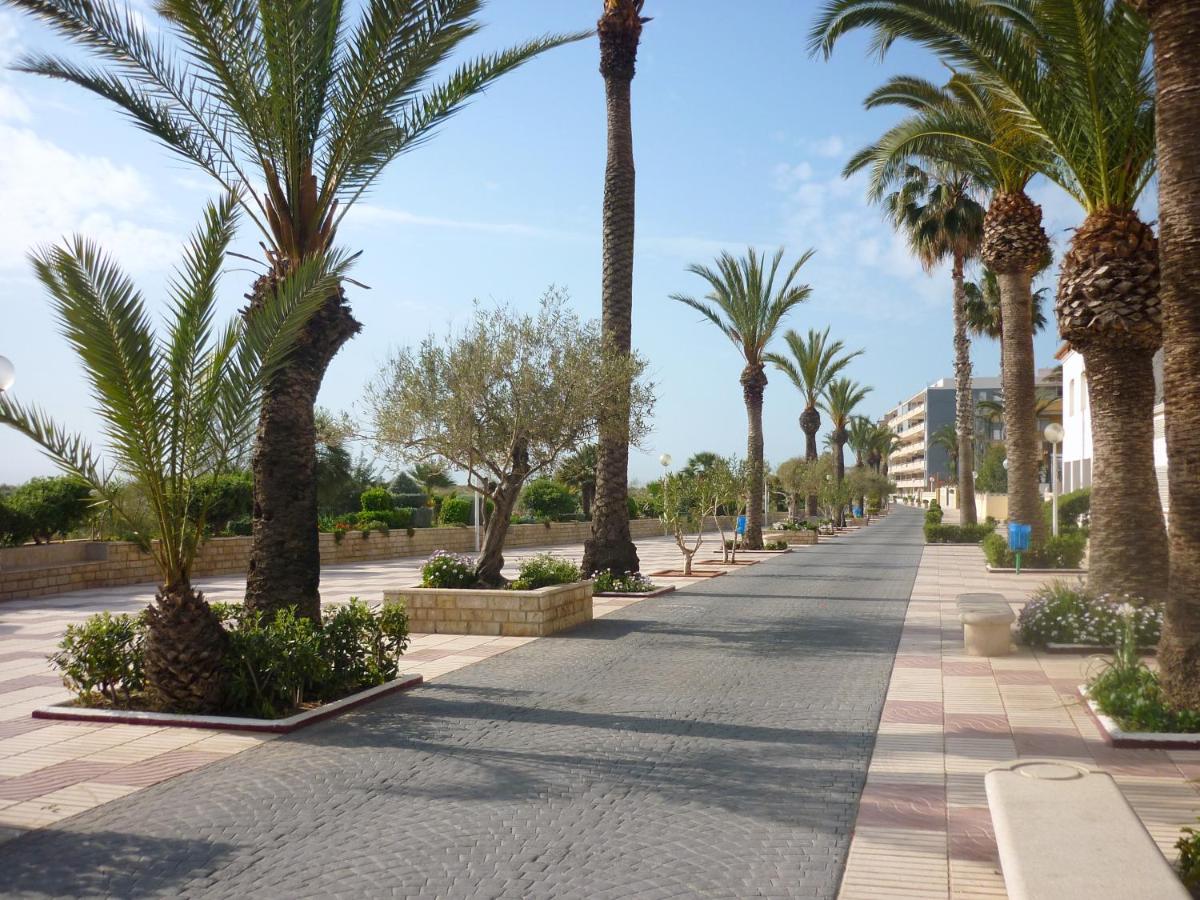 AGH Canet