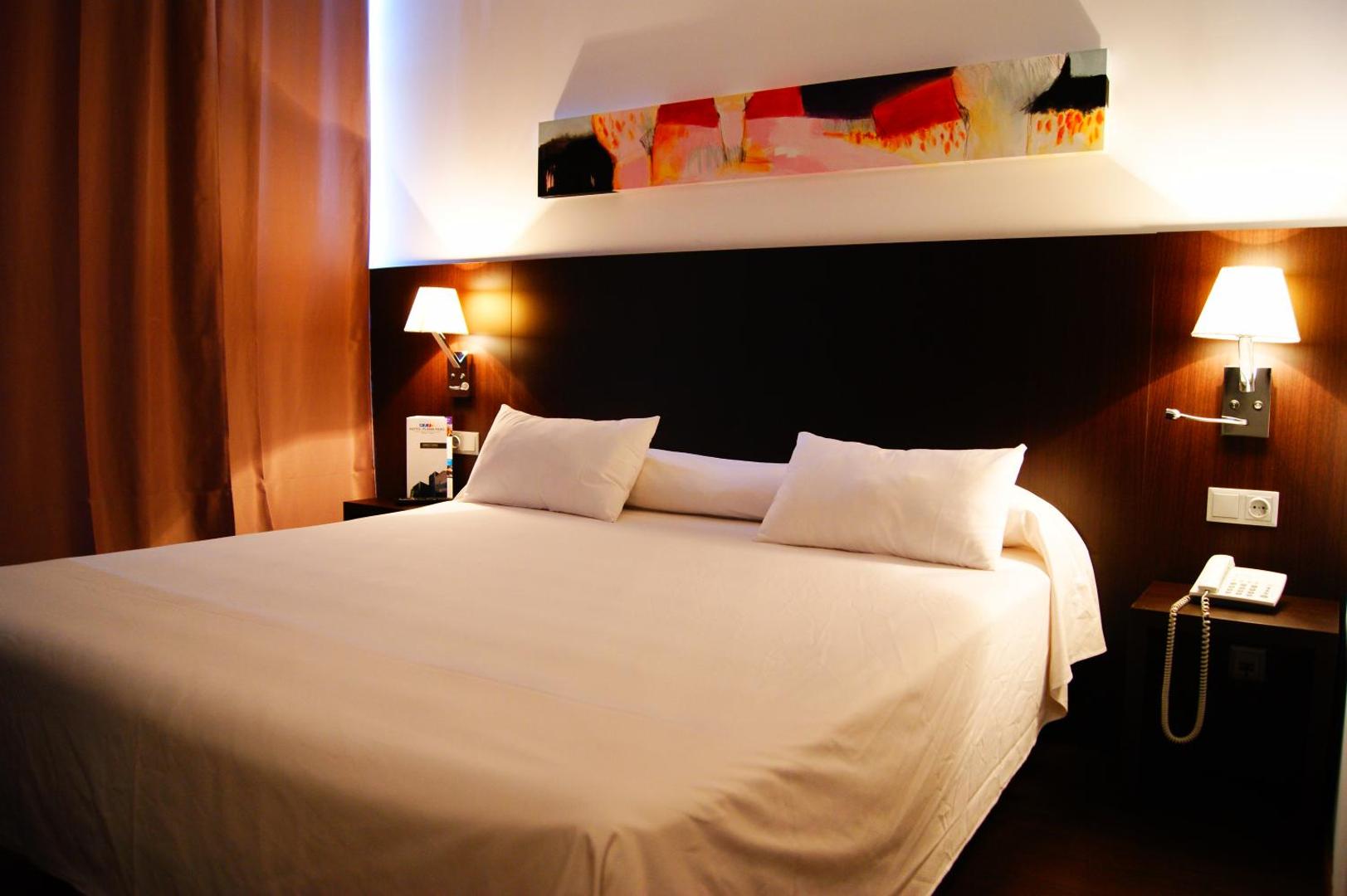 Sercotel Hotel Plana Parc