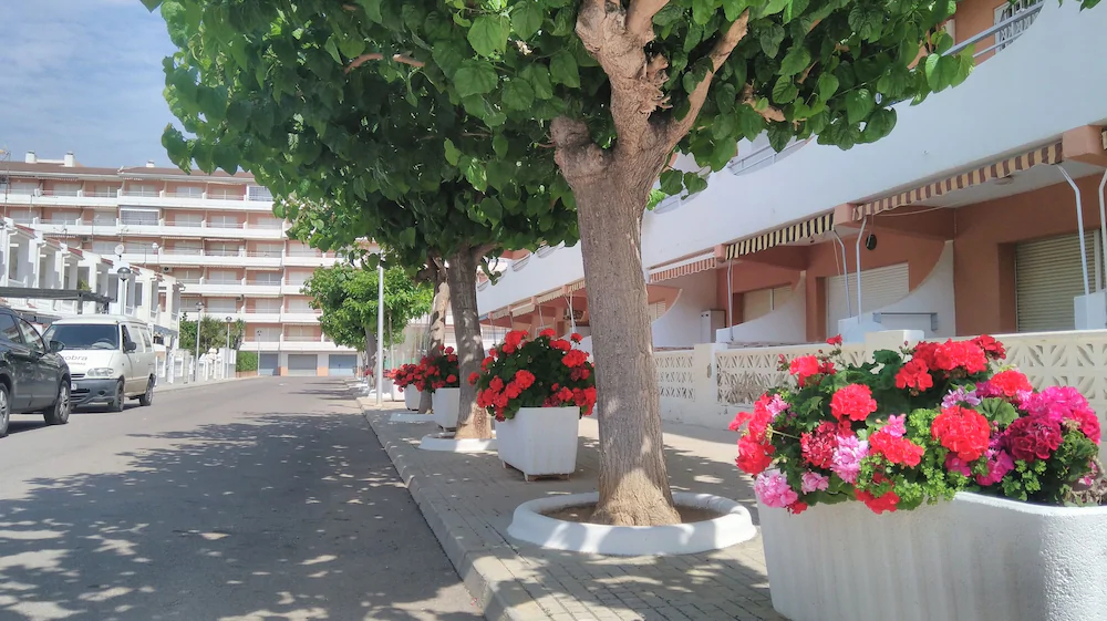 Estudios Voramar by AP Costas