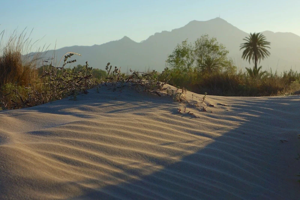 Kampea Playa De Gandia