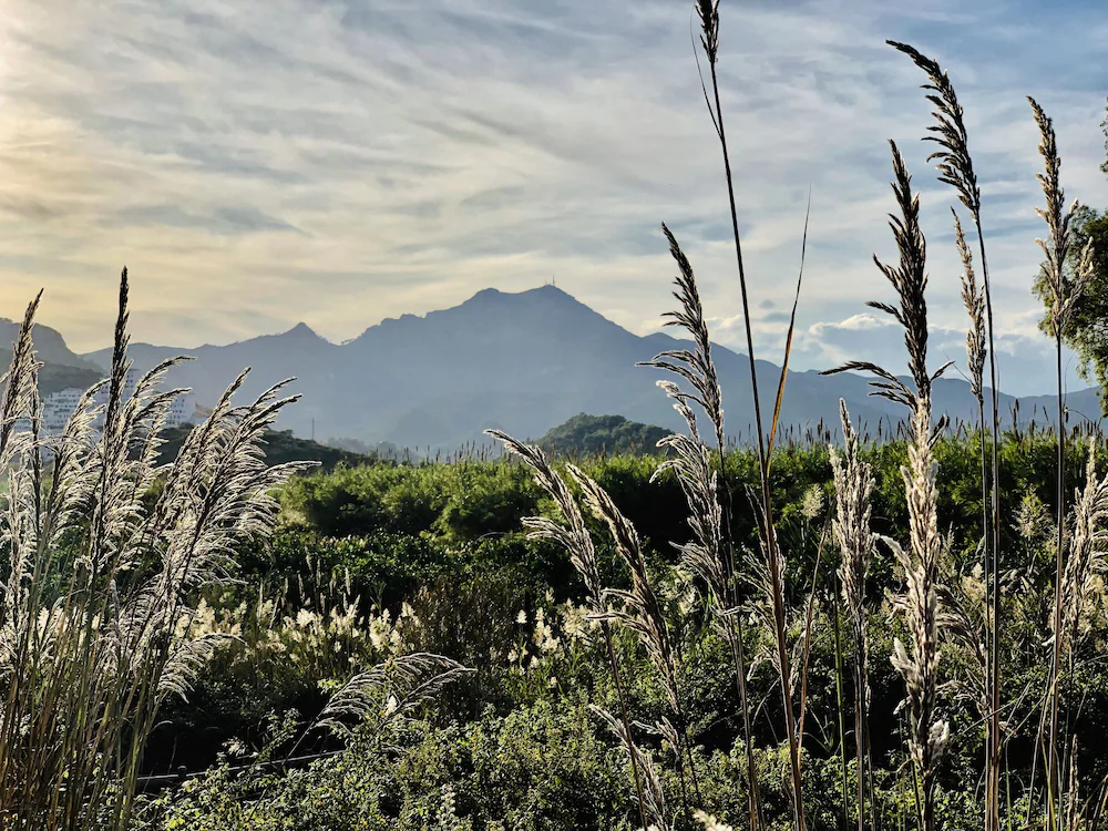 Kampea Playa De Gandia