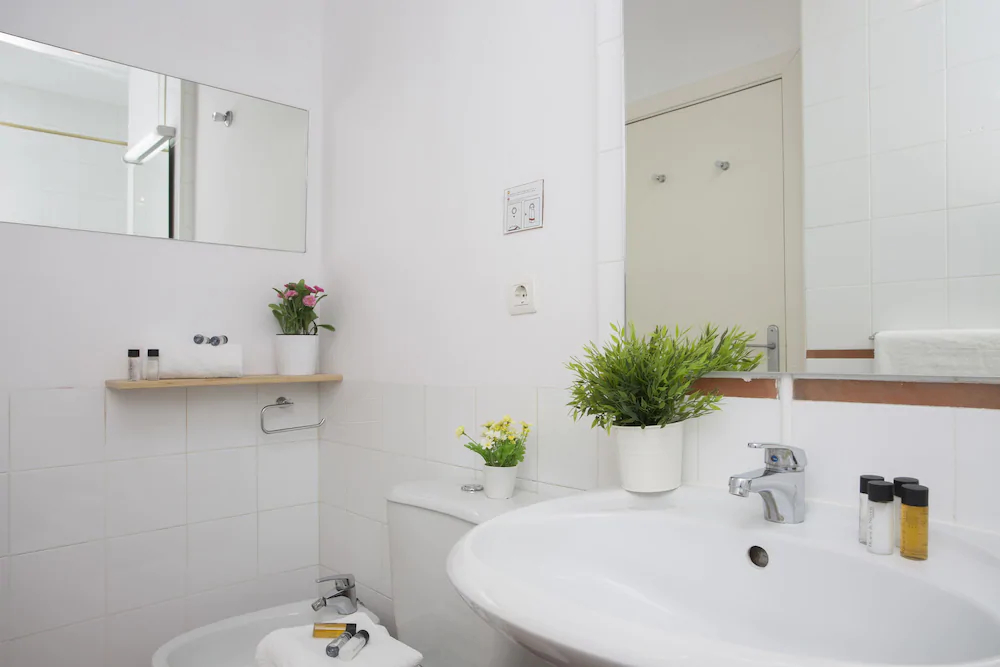 Apartamentos Botánico 29