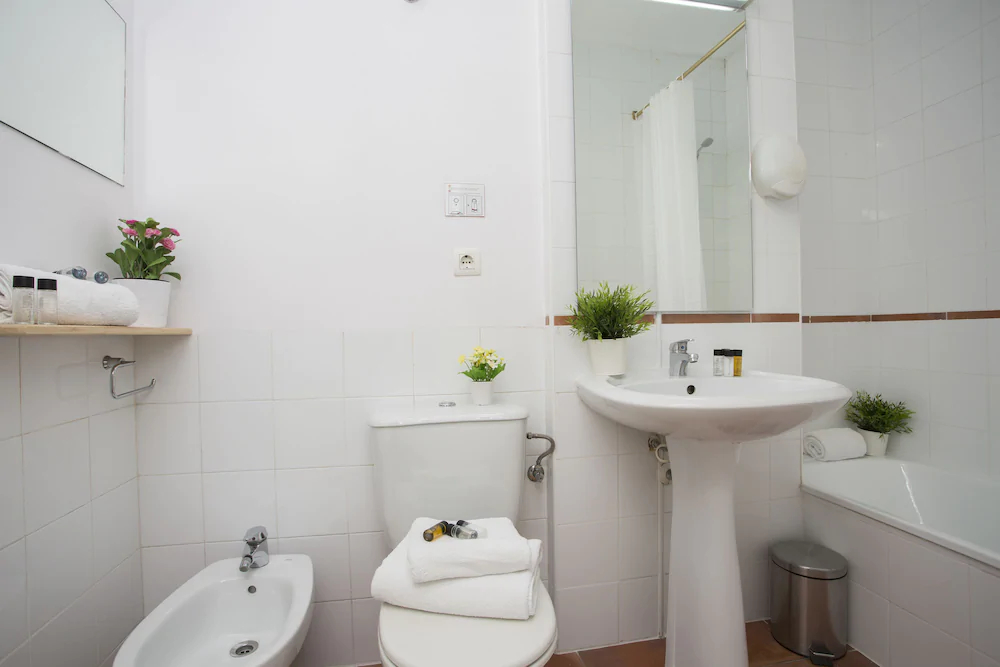 Apartamentos Botánico 29