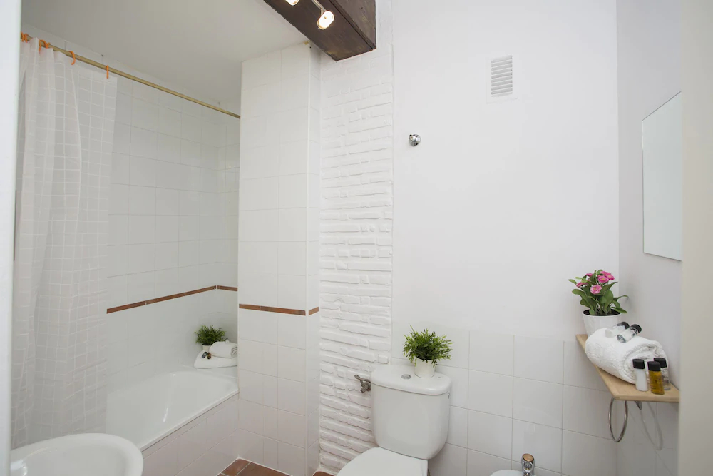 Apartamentos Botánico 29