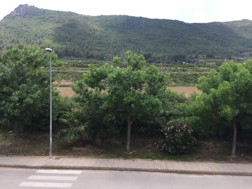 Casa Peseta - Casa Rural