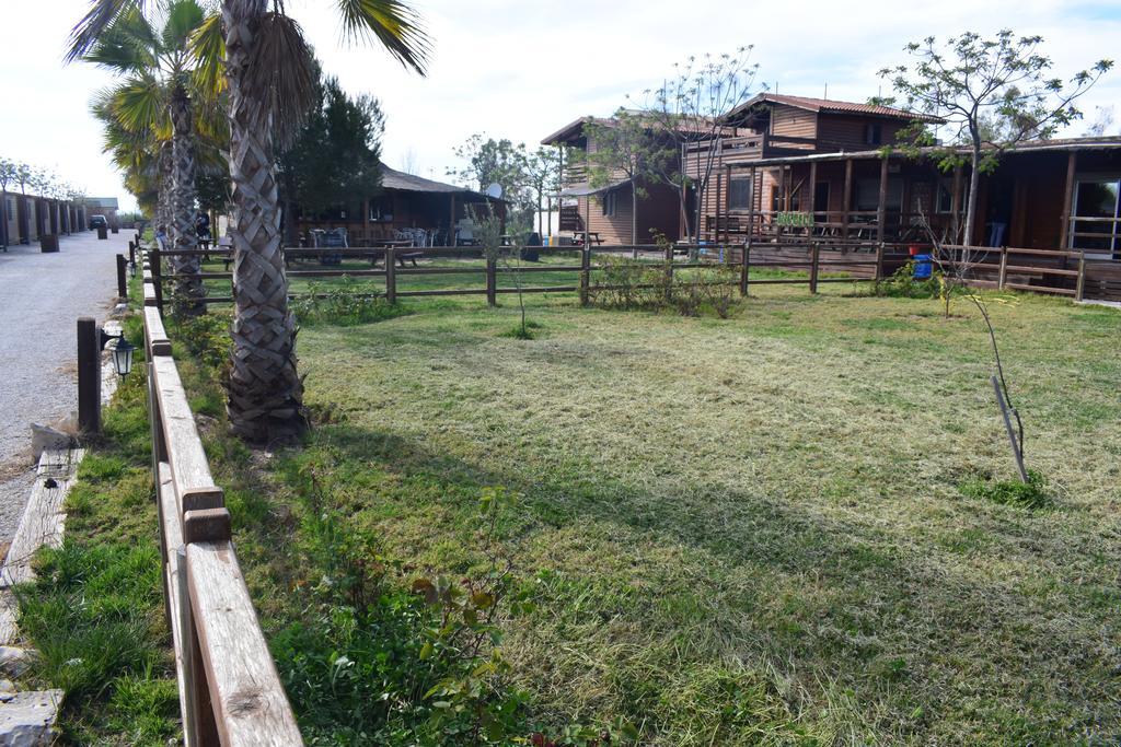 Escuela Albufera