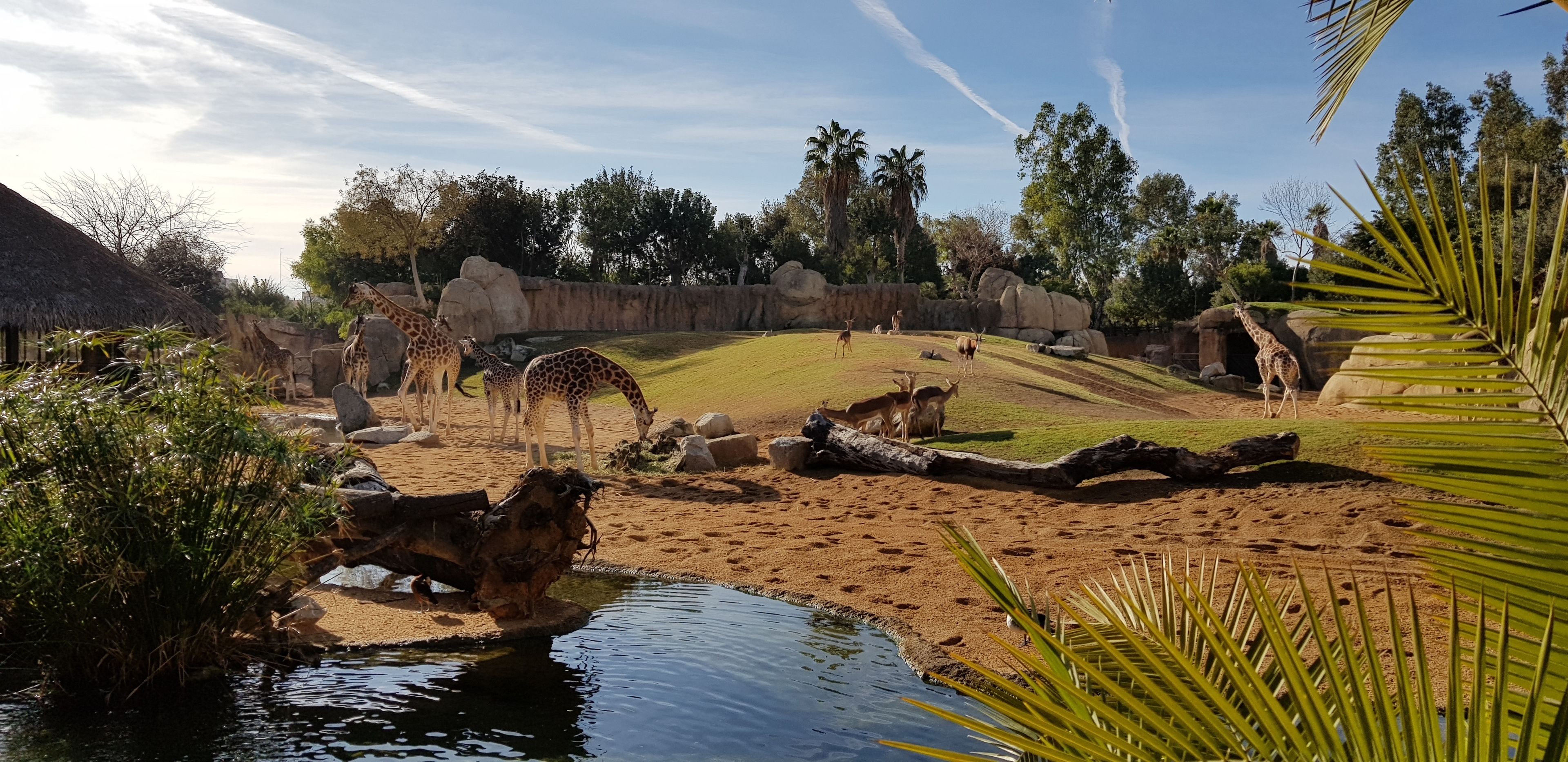 JL Ciudad de las Artes