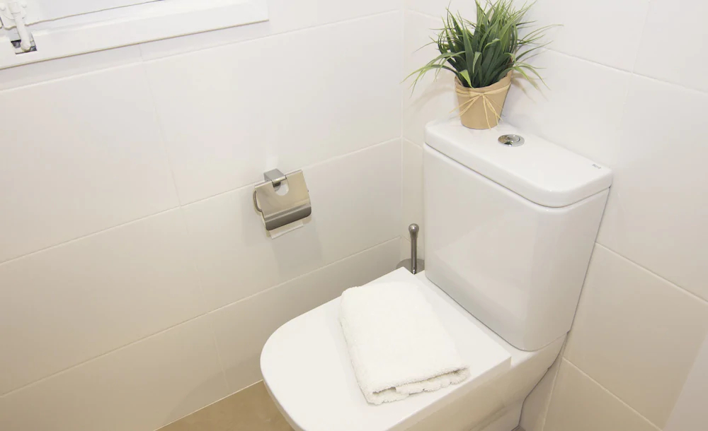 Living Valencia -Correos