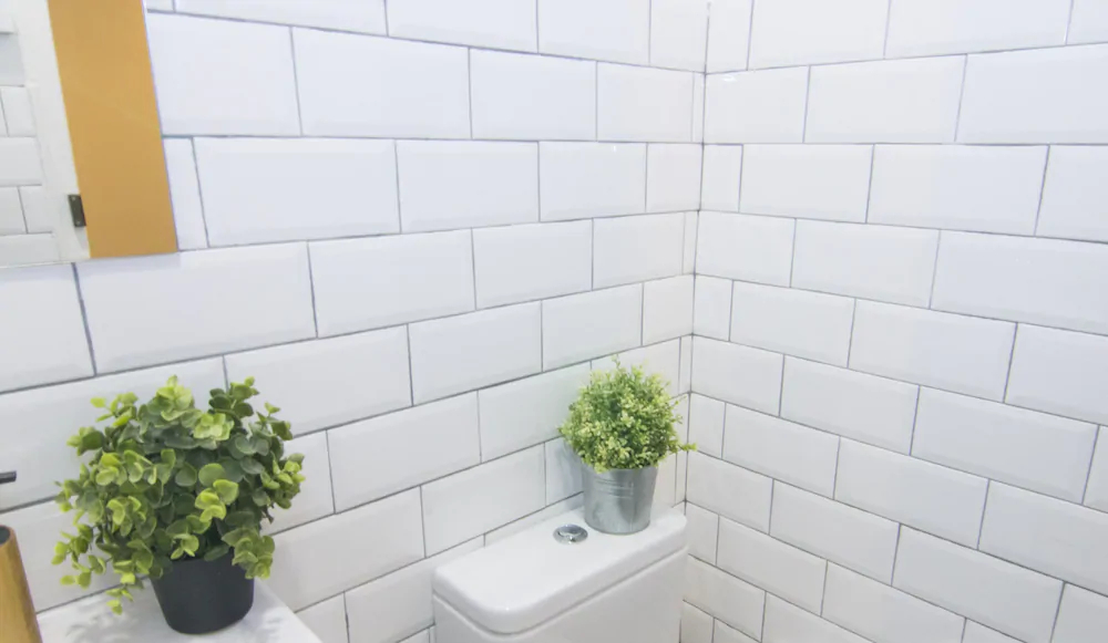 Living Valencia -Correos