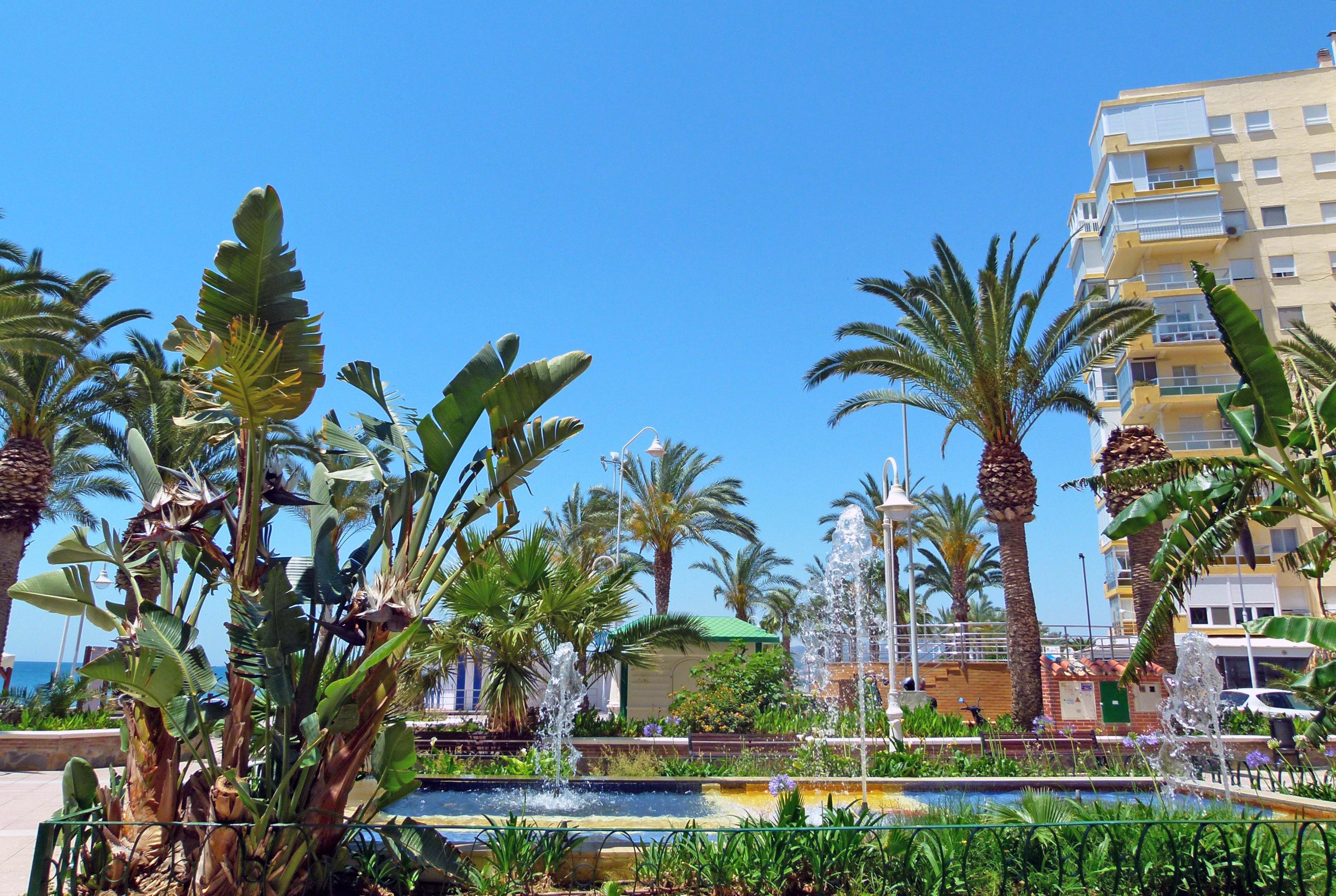 Apartamentos Intercentro Algarrobo