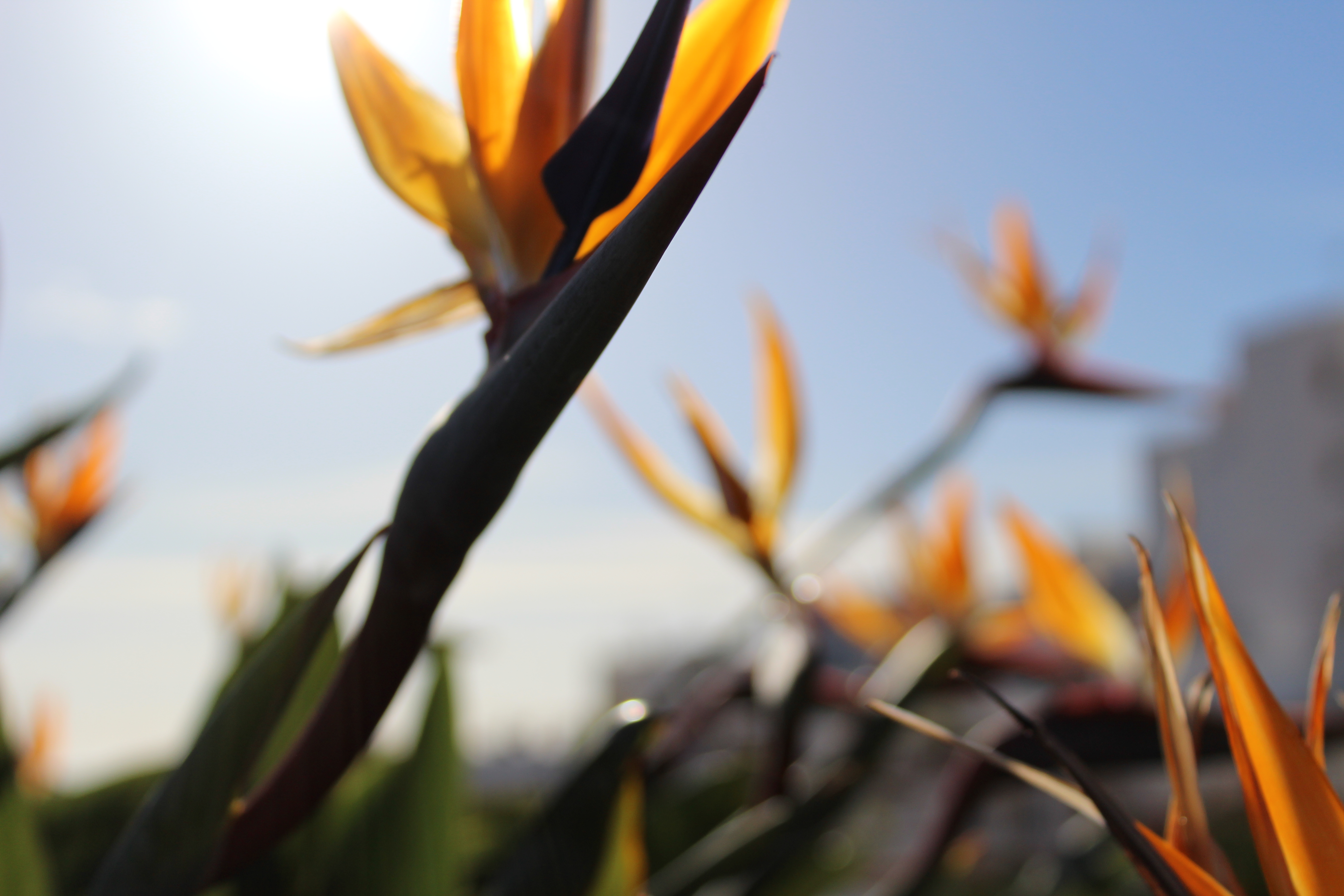 El Palacete del Corregidor