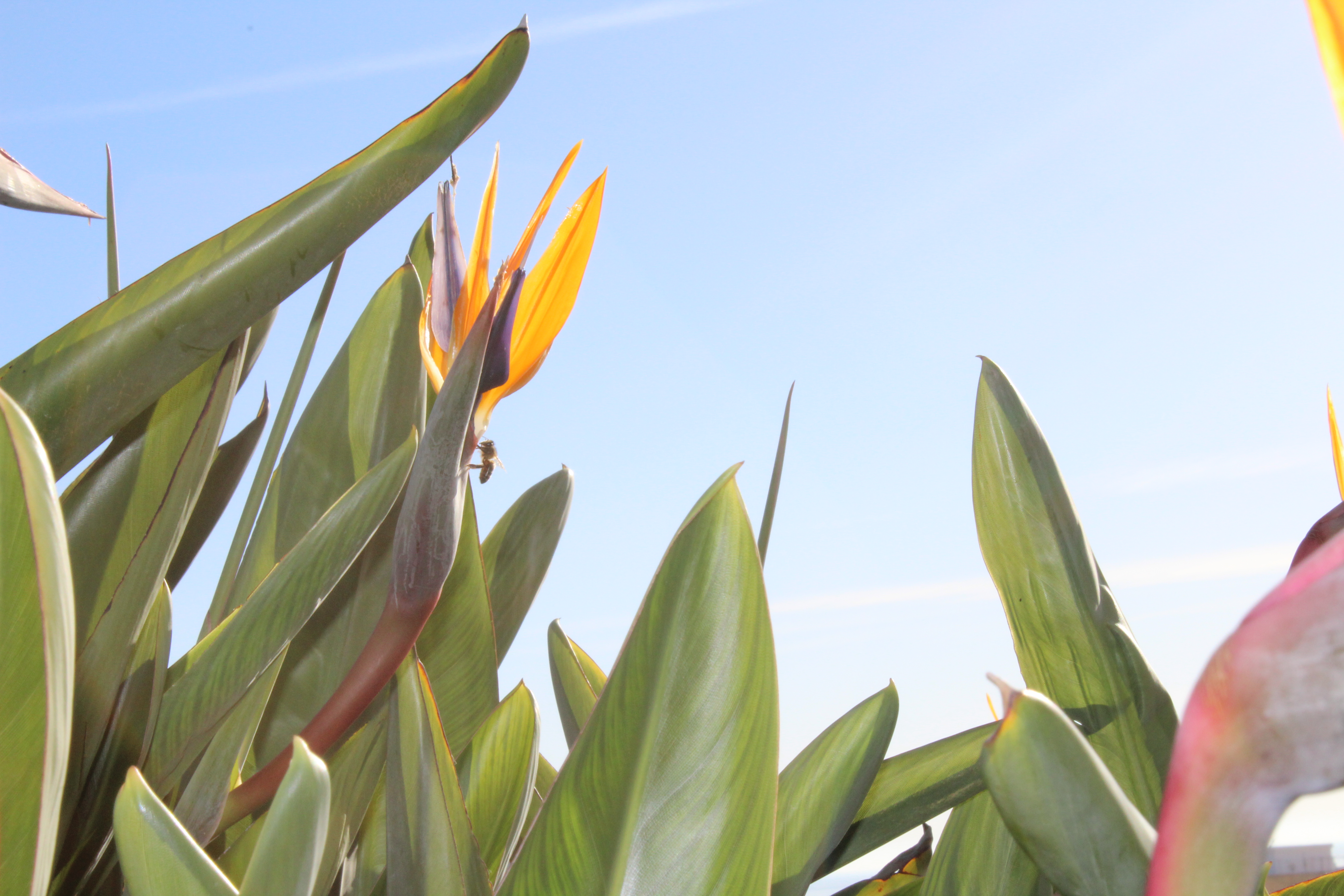 El Palacete del Corregidor