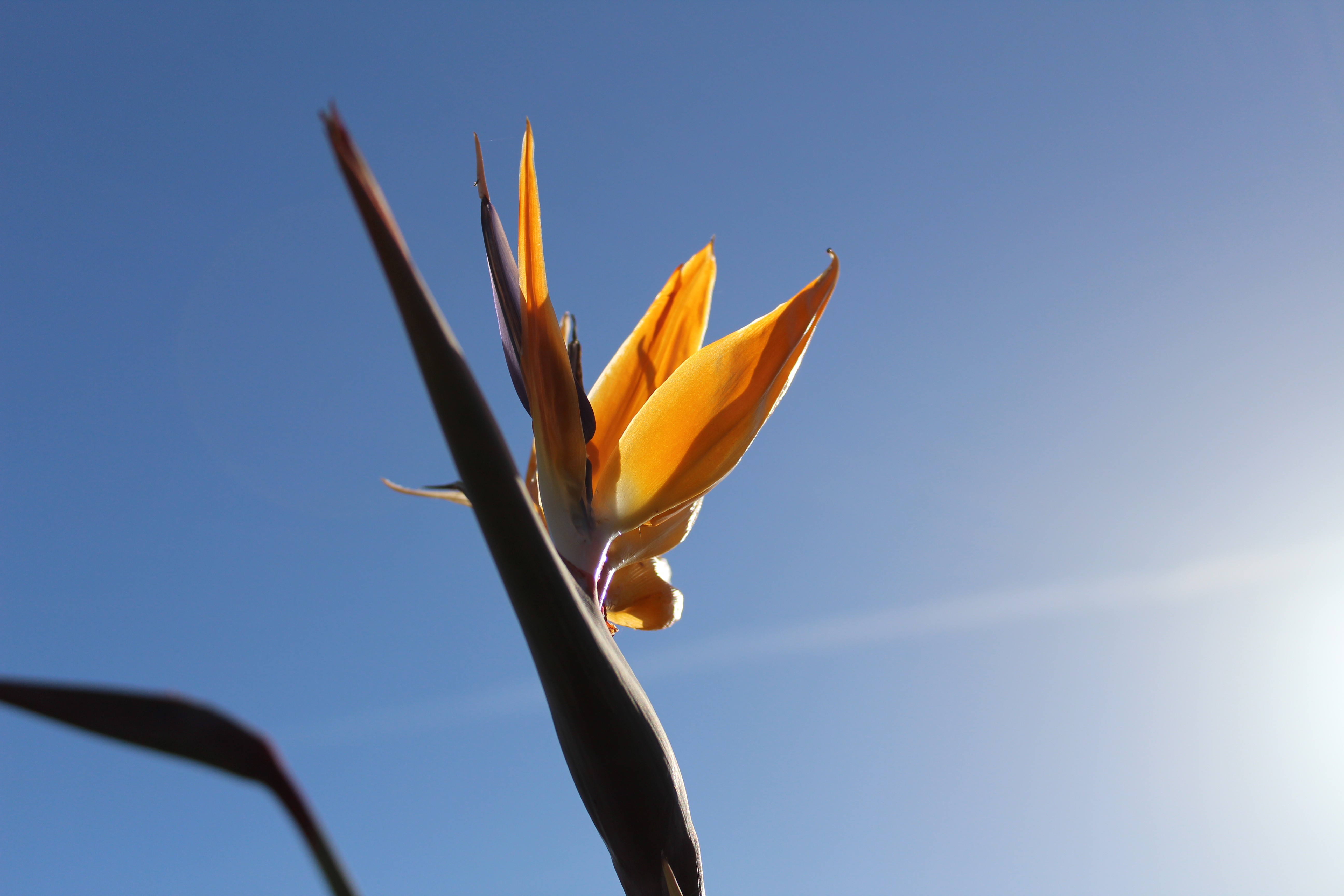 El Palacete del Corregidor