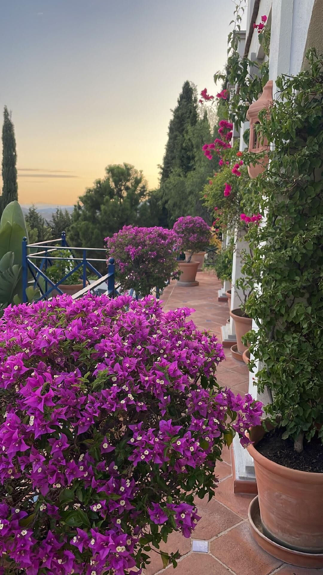 Boutique Hotel Maravilla
